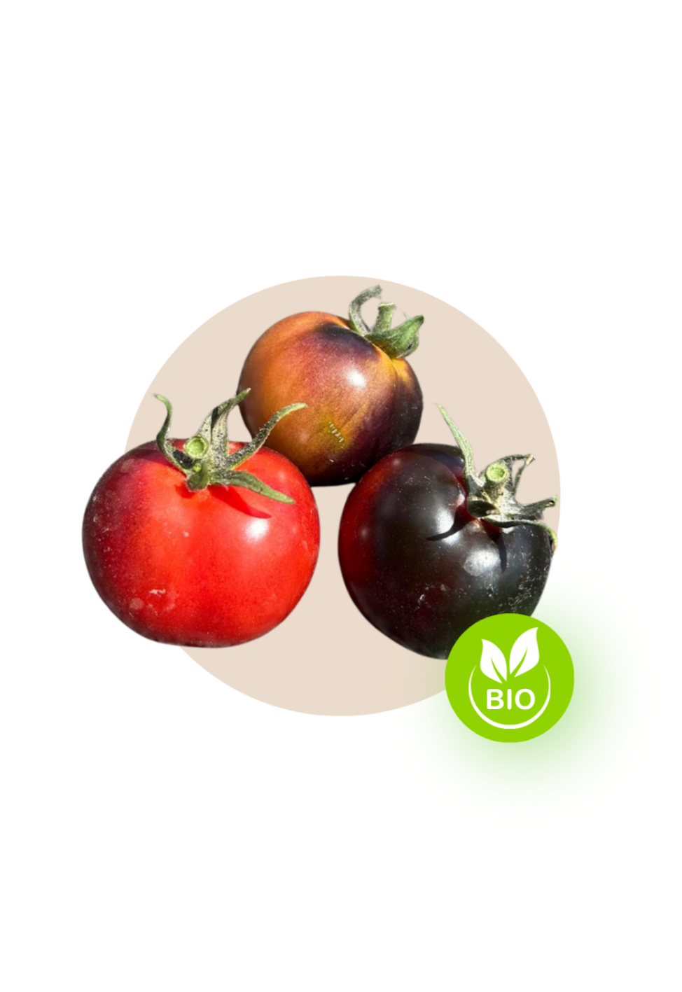 Tomate especial