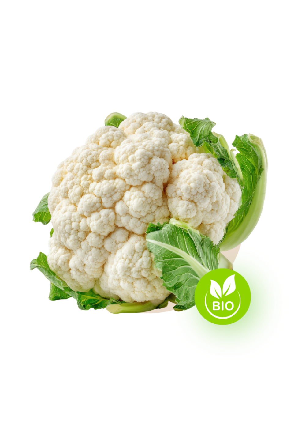 Coliflor