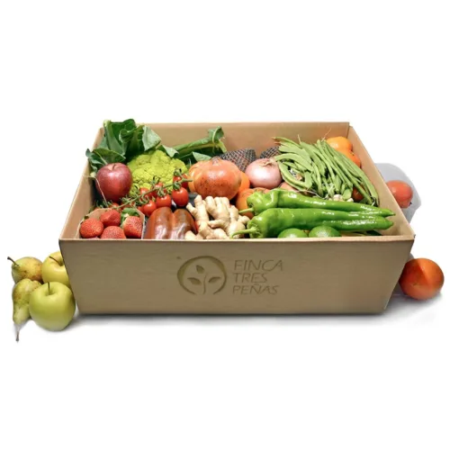 CAJA DE TEMPORADA