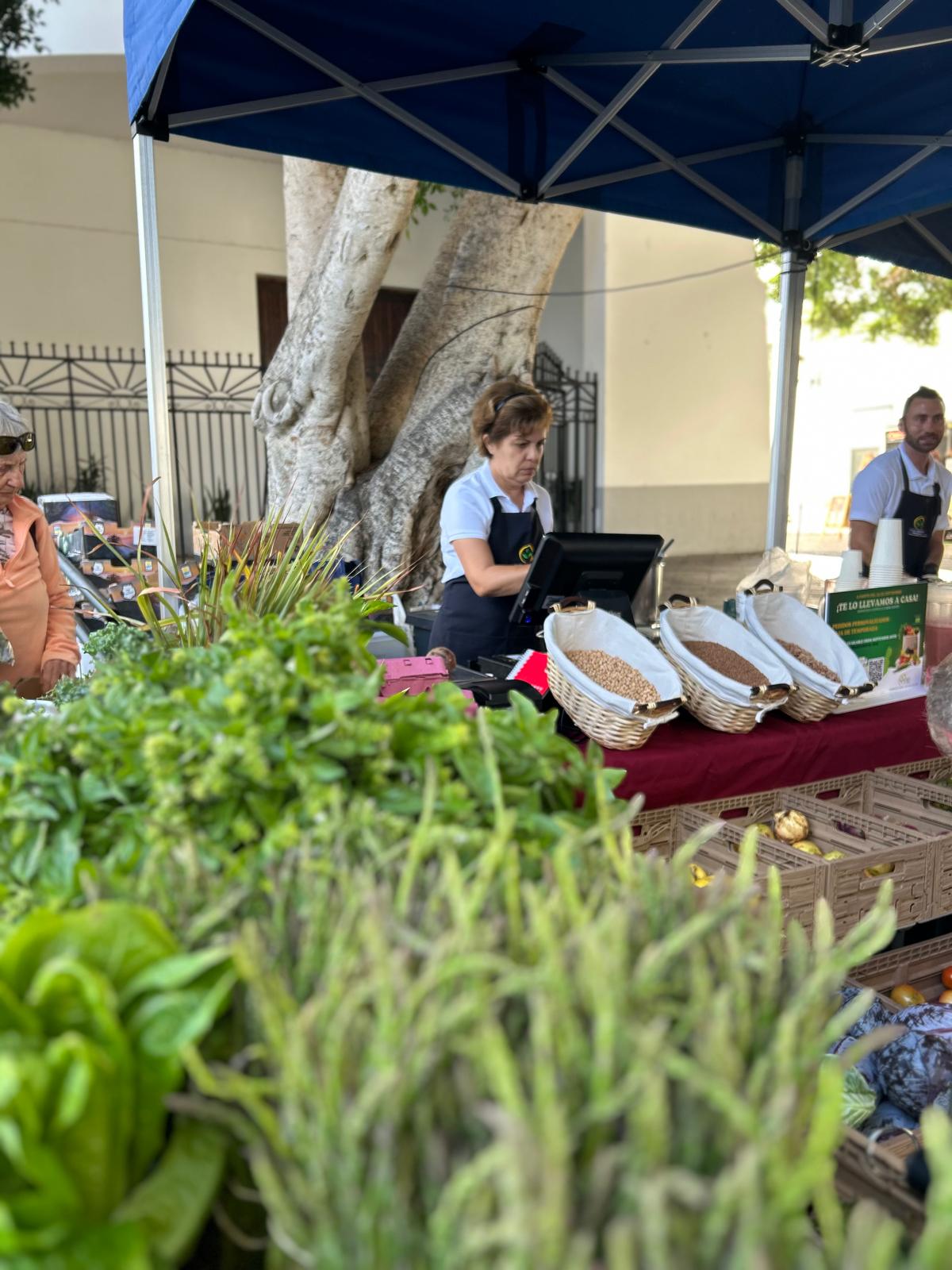 WhatsApp Image 2025-10-20 at 12.24.15